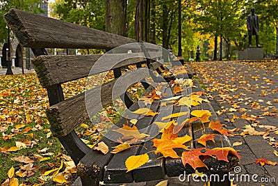Fall Leaves on Benches Along Park Stock Photo