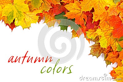 Fall leaves border Stock Photo