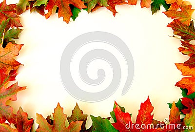 Fall Leaves Border on White Stock Photo