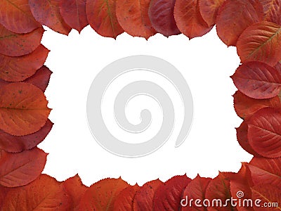 Fall leaves frame Stock Photo