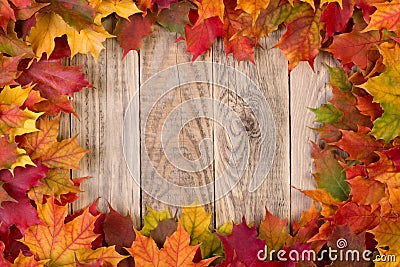 Fall leaves frame Stock Photo