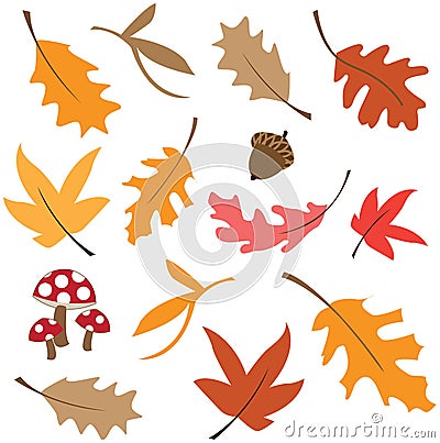 Fall leaves Vector Illustration