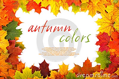 Fall maple leaf border Stock Photo