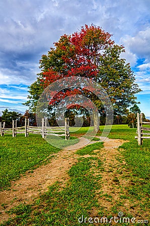 Fall maple and split rail fence, Cumberland Gap National Park Stock Photo