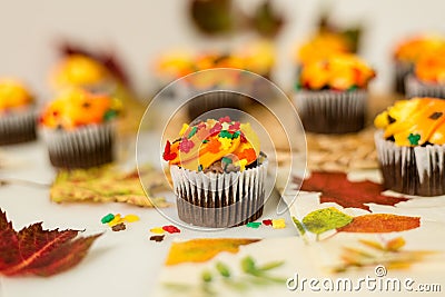 Fall Mini Chocolate Cupcake Stock Photo