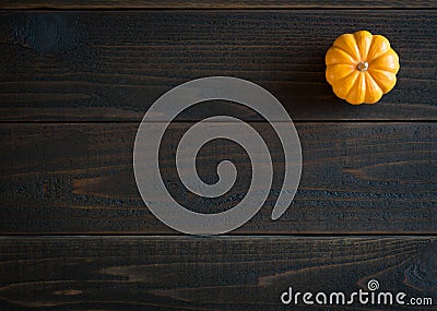 Fall Mini Pumpkin in Minimalist Still Life Card on Moody, Dark Shiplap Wood Boards with Extra Room or space for copy, text or your Stock Photo