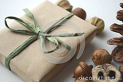 Fall mood. Acorns, tree nuts and seeds with a pine cone and a gift-wrapped box in brown paper and raffia with copy space. Stock Photo