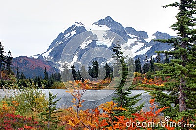 Fall at Mount Baker Stock Photo