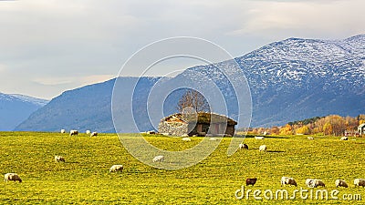 Fall in Oppdal, Norway Stock Photo