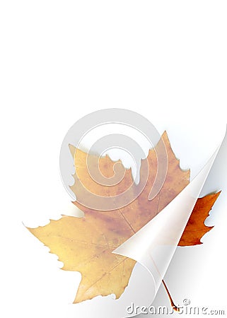 Fall Page Stock Photo