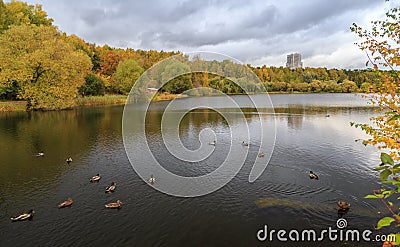Fall in the park. Autumn trees reflected in the pond. Calm and tranquility. Stock Photo