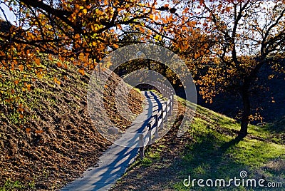 Fall pathway with wooden fence Stock Photo