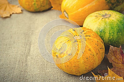 Fall pumpkin and decorative squash with autumn leaves on a linen background Stock Photo