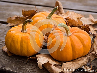 Fall pumpkins Stock Photo
