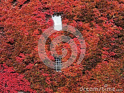 I upload this file exclusively on Dreamstime.com. I acknowledge and warrant that I have read and agree with the Exclusivity Terms Stock Photo