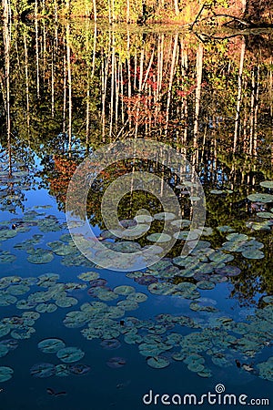 FALL REFLECTIONS Stock Photo