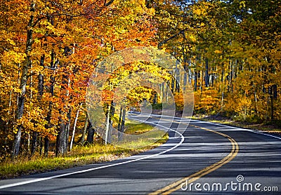 Fall road Stock Photo