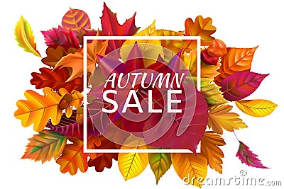 Fall sale banner. Autumn season sales, autumnal discount and fallen leaves banners frame vector illustration Vector Illustration