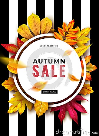 Fall sale. Seasonal autumn promotion design with red and yellow 3d leaves. September and october discount ad. Vector Vector Illustration