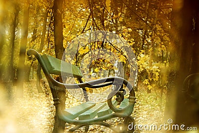 Autumn scenery in park Stock Photo