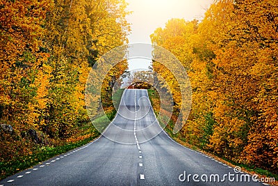 Fall scenic road in Sweden Stock Photo