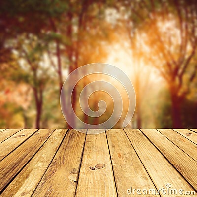 Fall season background Stock Photo