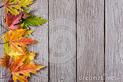 Fall season background, yellow maple leaves Stock Photo