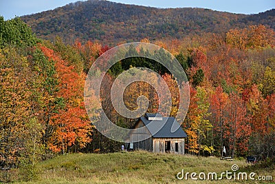 During fall season the Eastern Townships Editorial Stock Photo