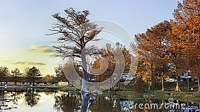 Fall Season on the Guadalupe River Stock Photo