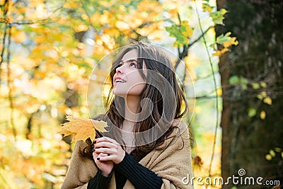 Fall season mood. Autumn beauty. Woman fashion model with fall maple leaf outdoors. Stock Photo