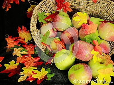 Basket of fresh apples, with colorful fall leaves Stock Photo
