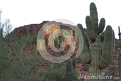 Arizona, Phoenix - Tempe, Botanical Garden: Chihuly Installation - Desert Neon Editorial Stock Photo