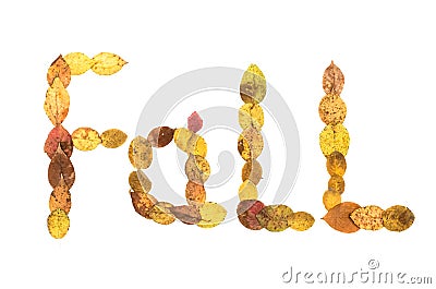 Fall text inscription made of fallen leaves isolated on white background. Stock Photo