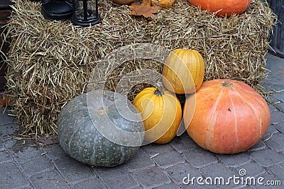 Fall theme. Several pumpkins and a bale of straw Stock Photo