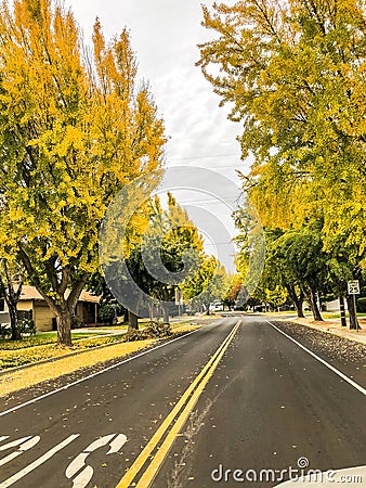 Fall time in Modesto California Stock Photo