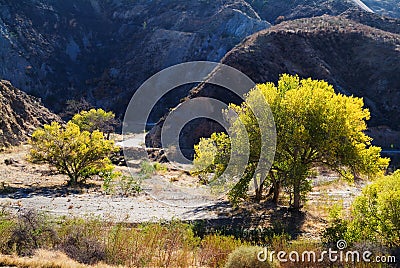 Fall trees by dirt road in mountains Stock Photo