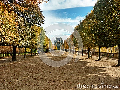 Fall in Tuileries garden, Paris Stock Photo