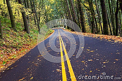 Fall winding forest mountain road Stock Photo