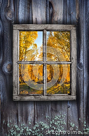 Fall window design Stock Photo