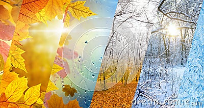 Fall and winter, weather forecast concept Stock Photo