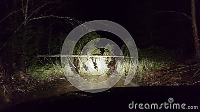 Fallen fir tree on the road Stock Photo