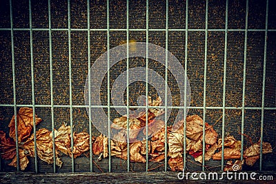 Fallen Leaves Behind Wire Grate Background Stock Photo