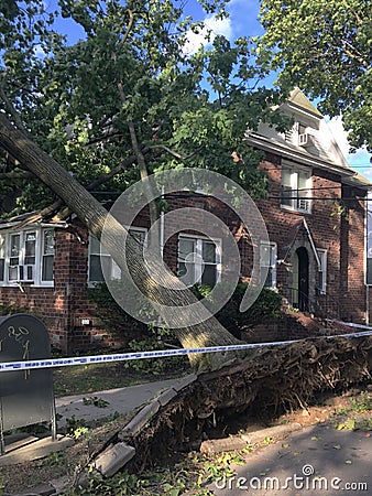 Fallen Tree Damage in Suburbs of New York City After Hurricane Tropical Storm Editorial Stock Photo