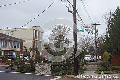 Fallen tree damaged house in the aftermath of Hurricane Sandy in Brooklyn, New York Editorial Stock Photo