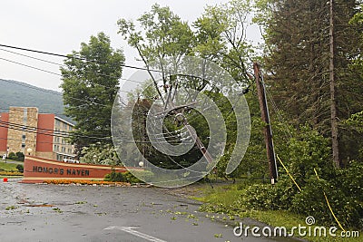 Fallen tree damaged power lines in the aftermath of severe weather and tornado in Ulster County, New York Editorial Stock Photo