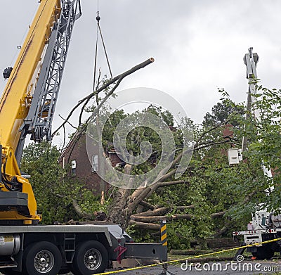 Hurricane tornado storm devastation Stock Photo