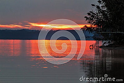 Fallen tree pointing to early morning red sunrise on Rend Lake, Illinois Stock Photo