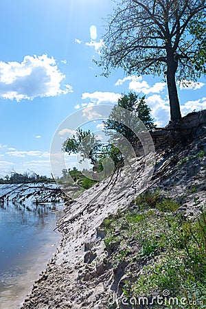 Fallen tree in a river on the edge of a cliff. Problem of soil erosion and landslides Stock Photo