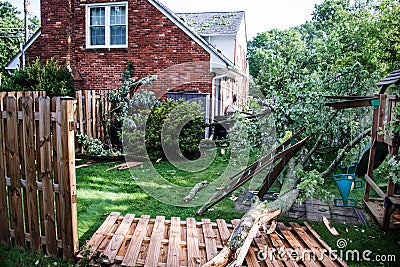 Fallen tree - wind damage to treehouse Stock Photo