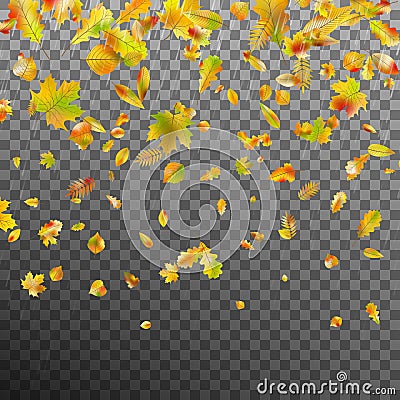 Falling autumn leaves. EPS 10 vector Vector Illustration